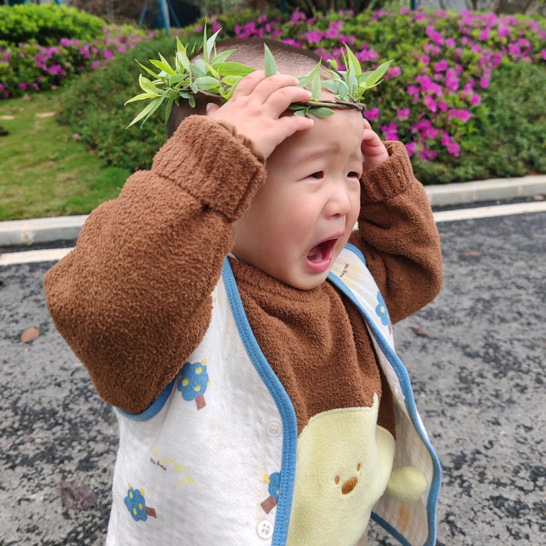 安安的安逸时光