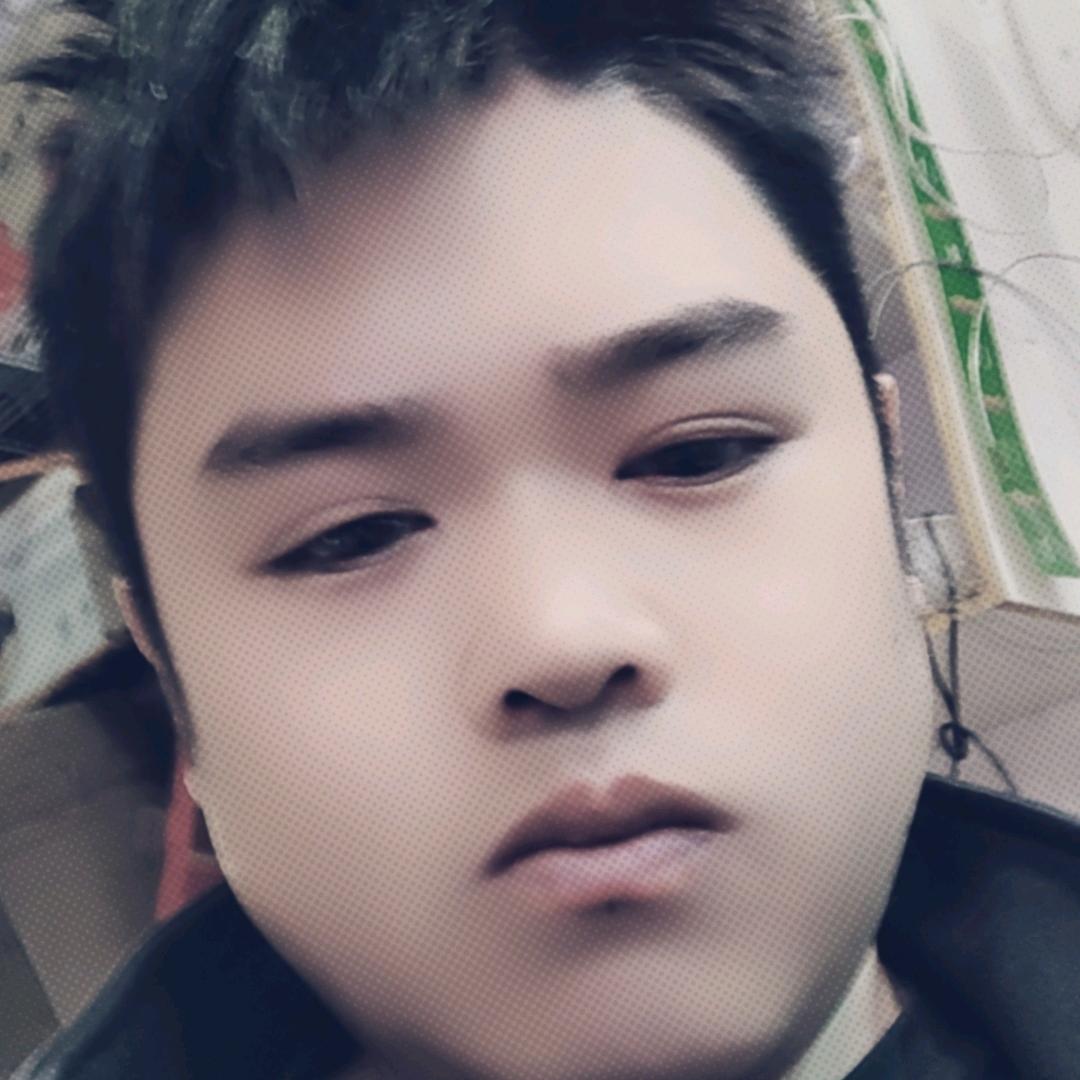 科科