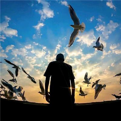 Carpe Diem