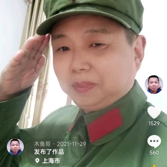 木鱼哥