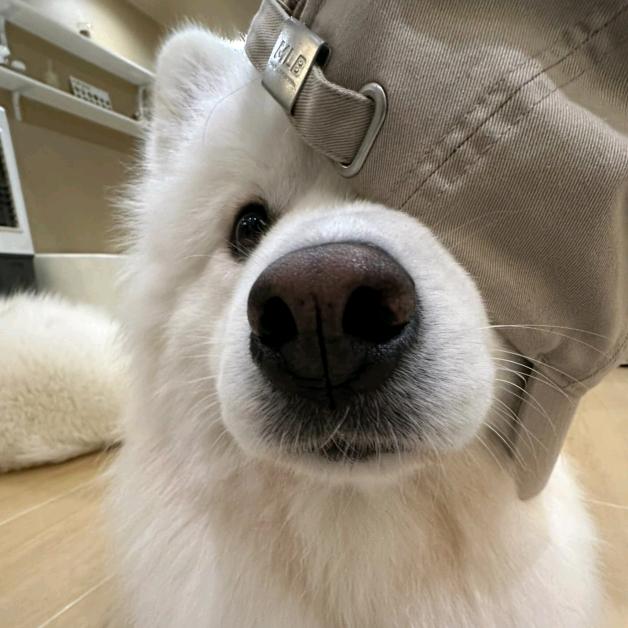 下一周yeah困.