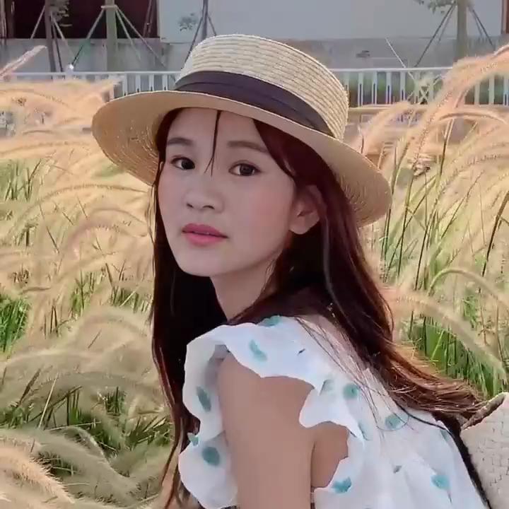 雨燕子