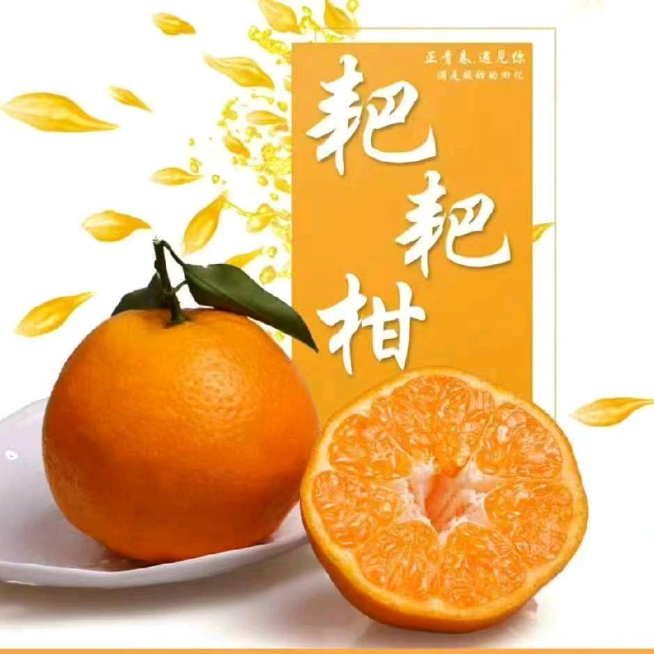 胡老幺果品产地直供(柑橘季)