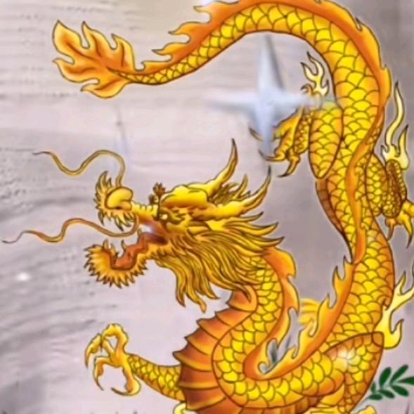 用户龙行天下