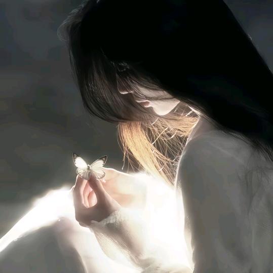 花影眠