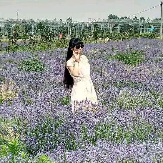 春风十里6866