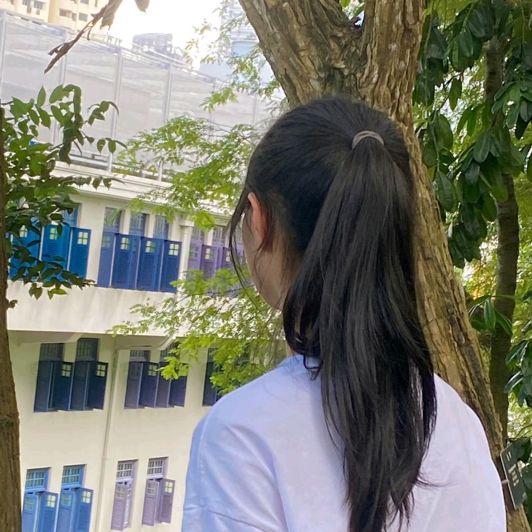 茉晗