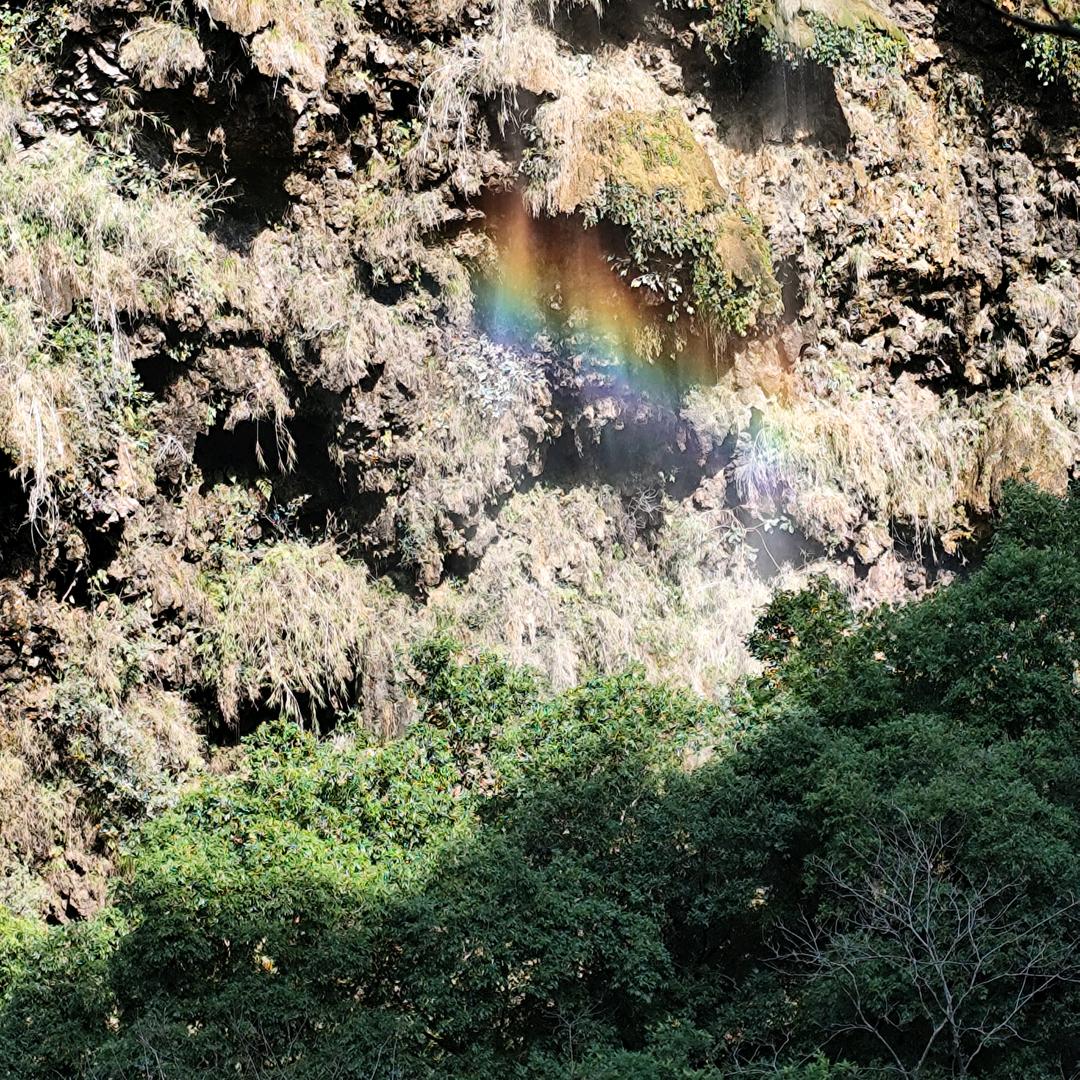🚬禹你🍺共度🚬余生🍺