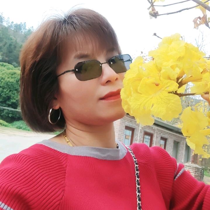 丝丝