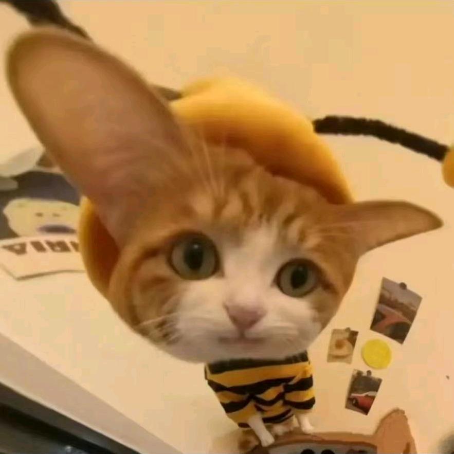 小叉是我。