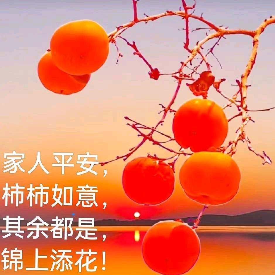 神之大陆💎