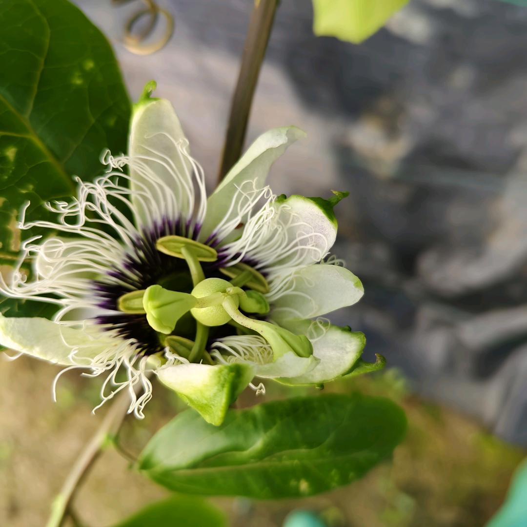 🥀এ᭄累了ꦿ谁💔疼ོ࿐ᩚ