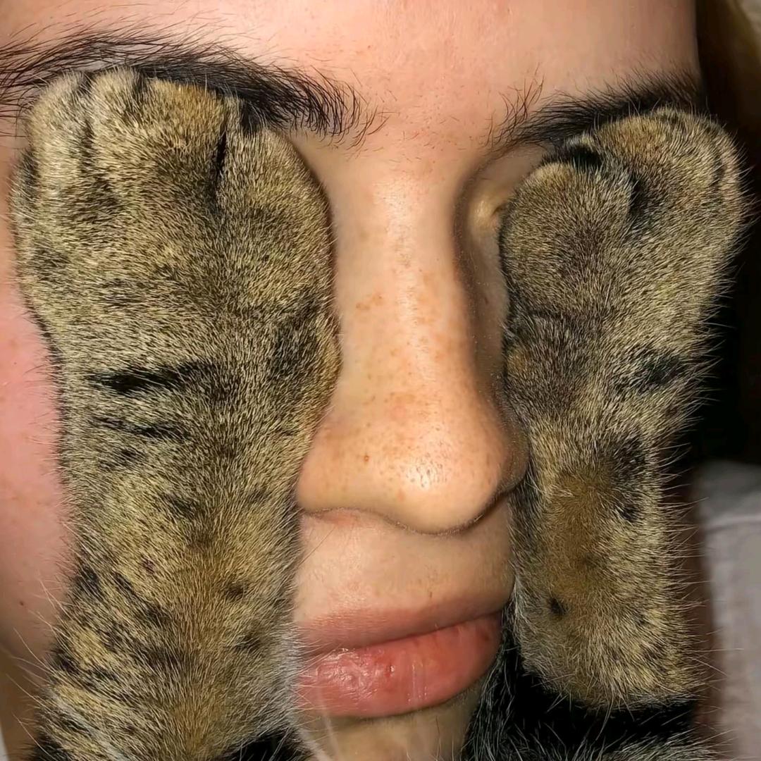 藏了个野原小新