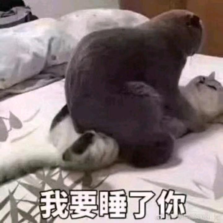 运满乾坤