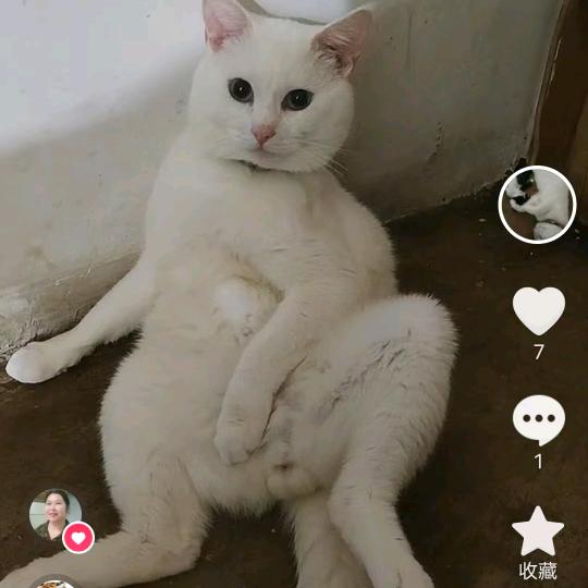 迈动16588