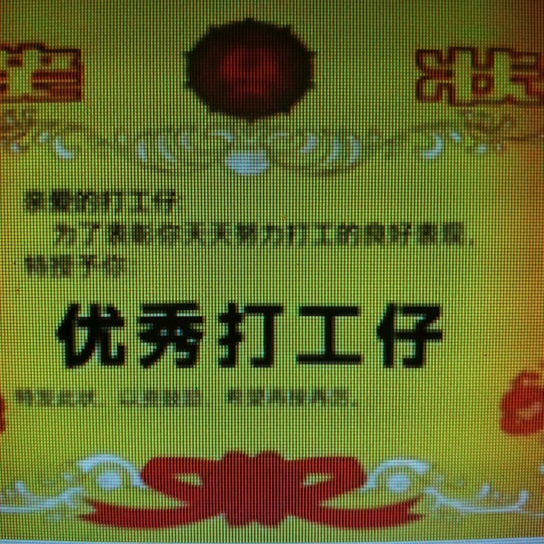 龙哥