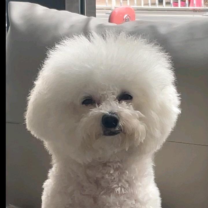 烟花再美，只是瞬间