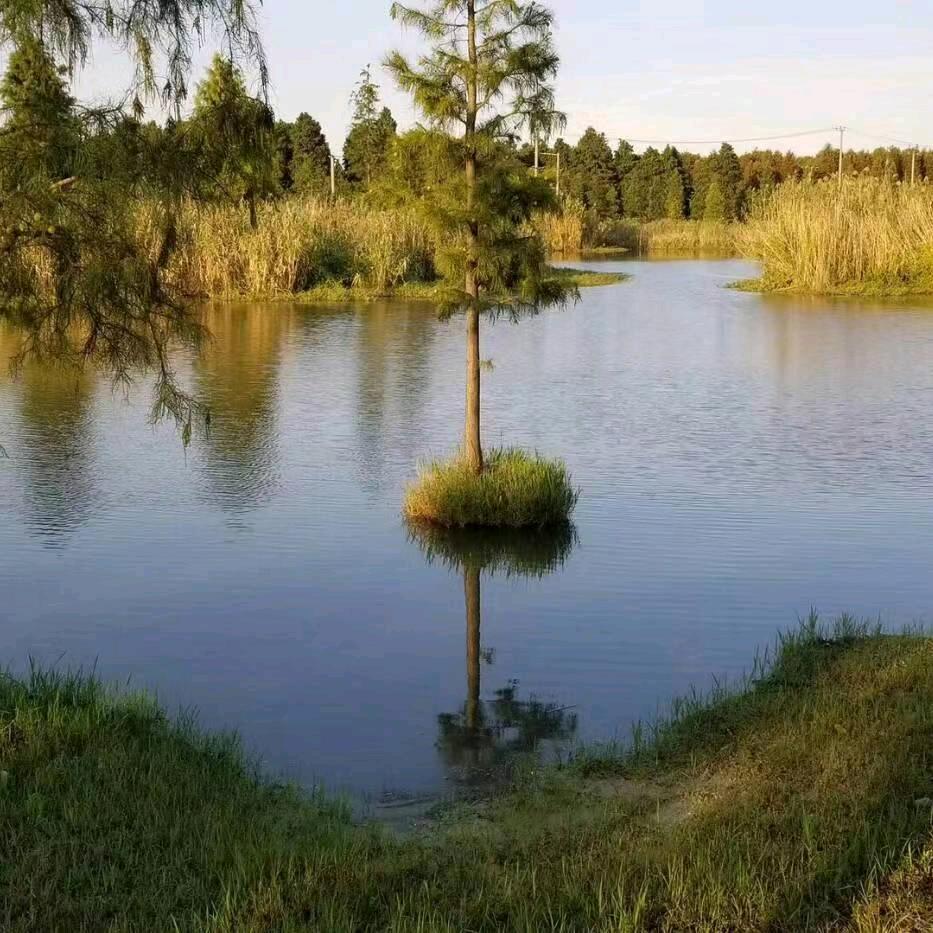 平平淡淡的人生