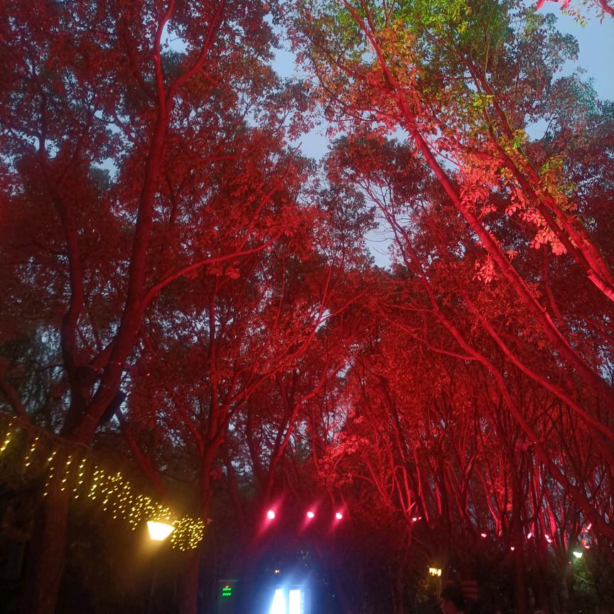 半糖加奶⁺¹⁰⁰࿐