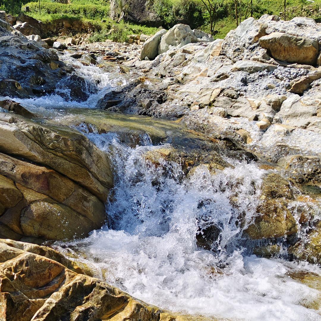 余生安好🌹🍀🌹🍀🌹🍀