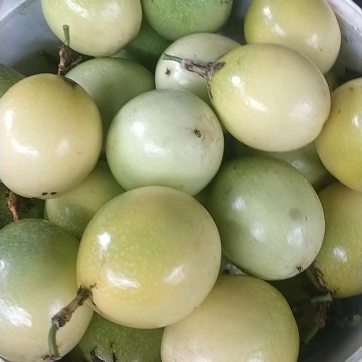 香蜜姐