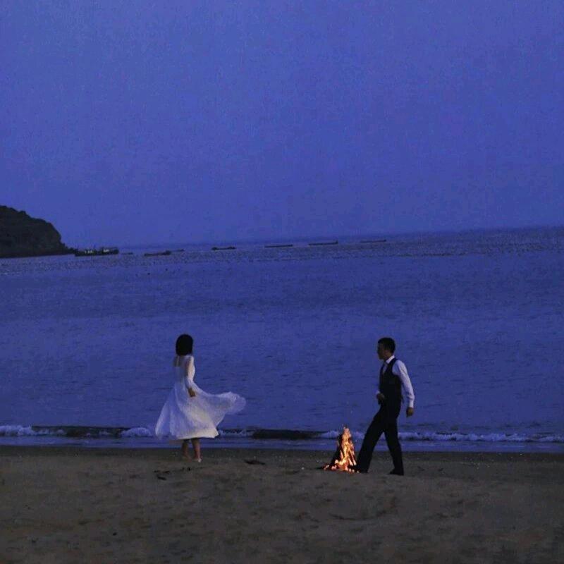 盆鱼燕