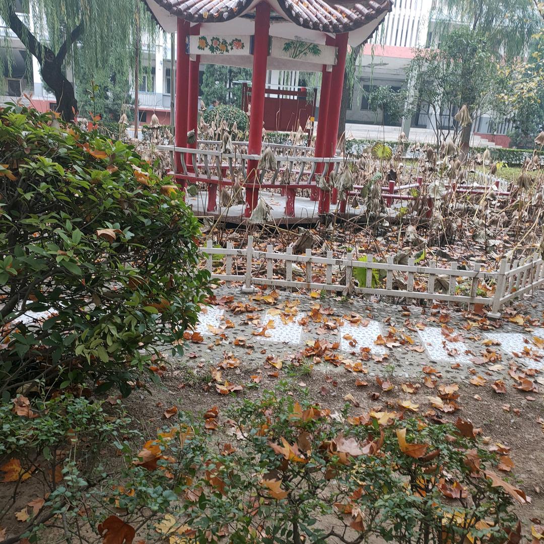 阿兵