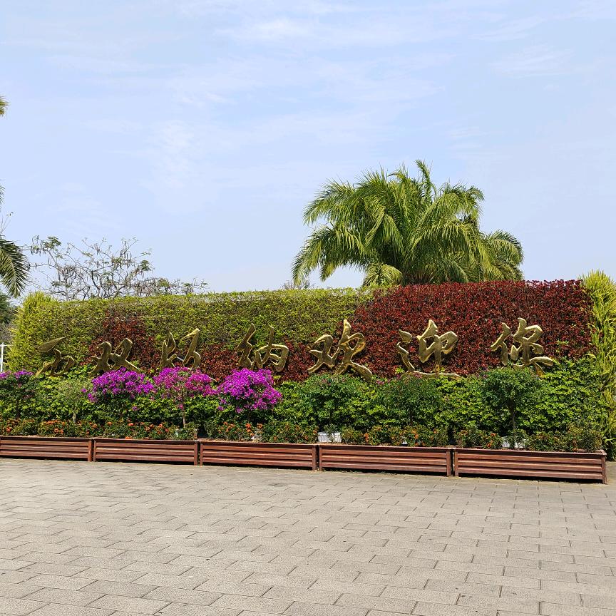 让我听懂你的语言