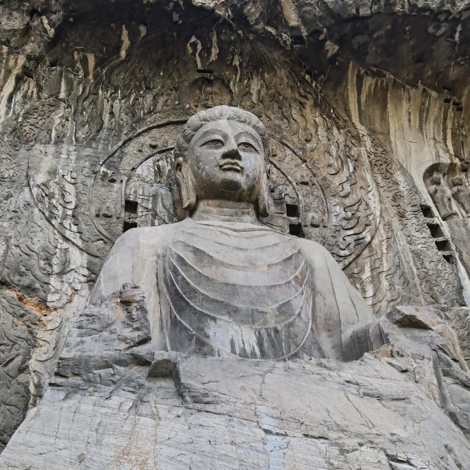 盲狗爱刨布呐呐