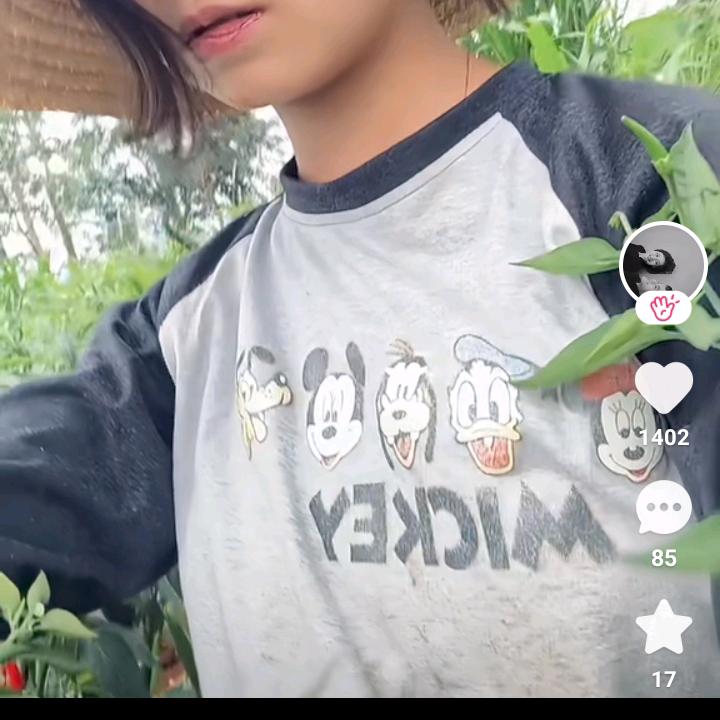 吴凉
