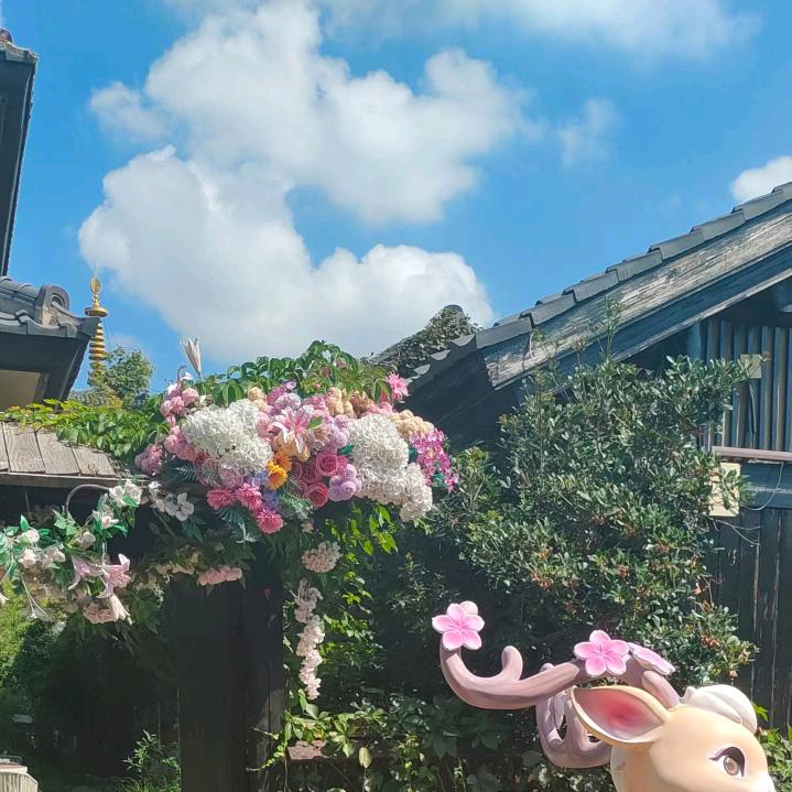 随心所欲。