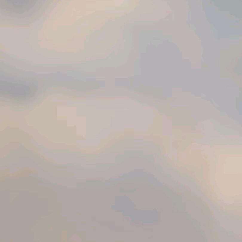 武夷山树满岩