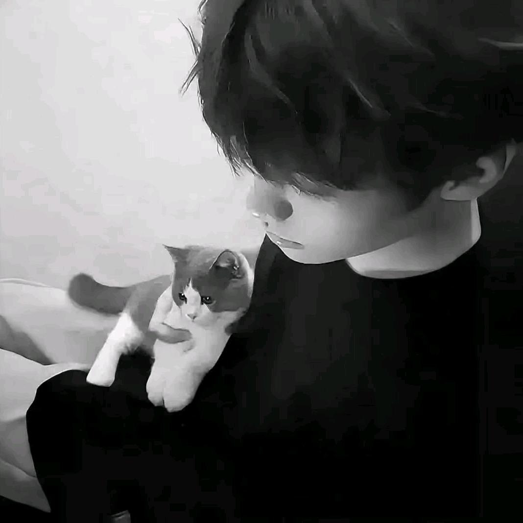 一生只爱你自己