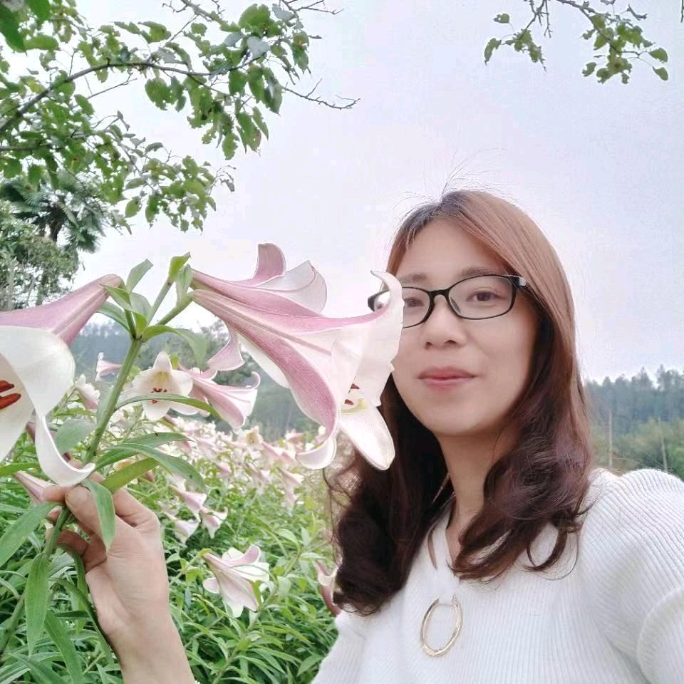 虞美人
