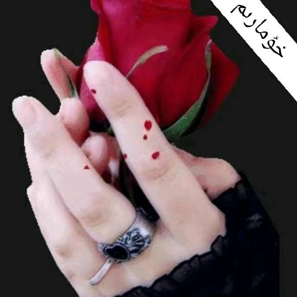 ❣️一生所爱❣️