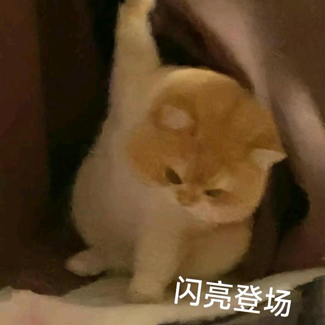 钱从四面八方来来来