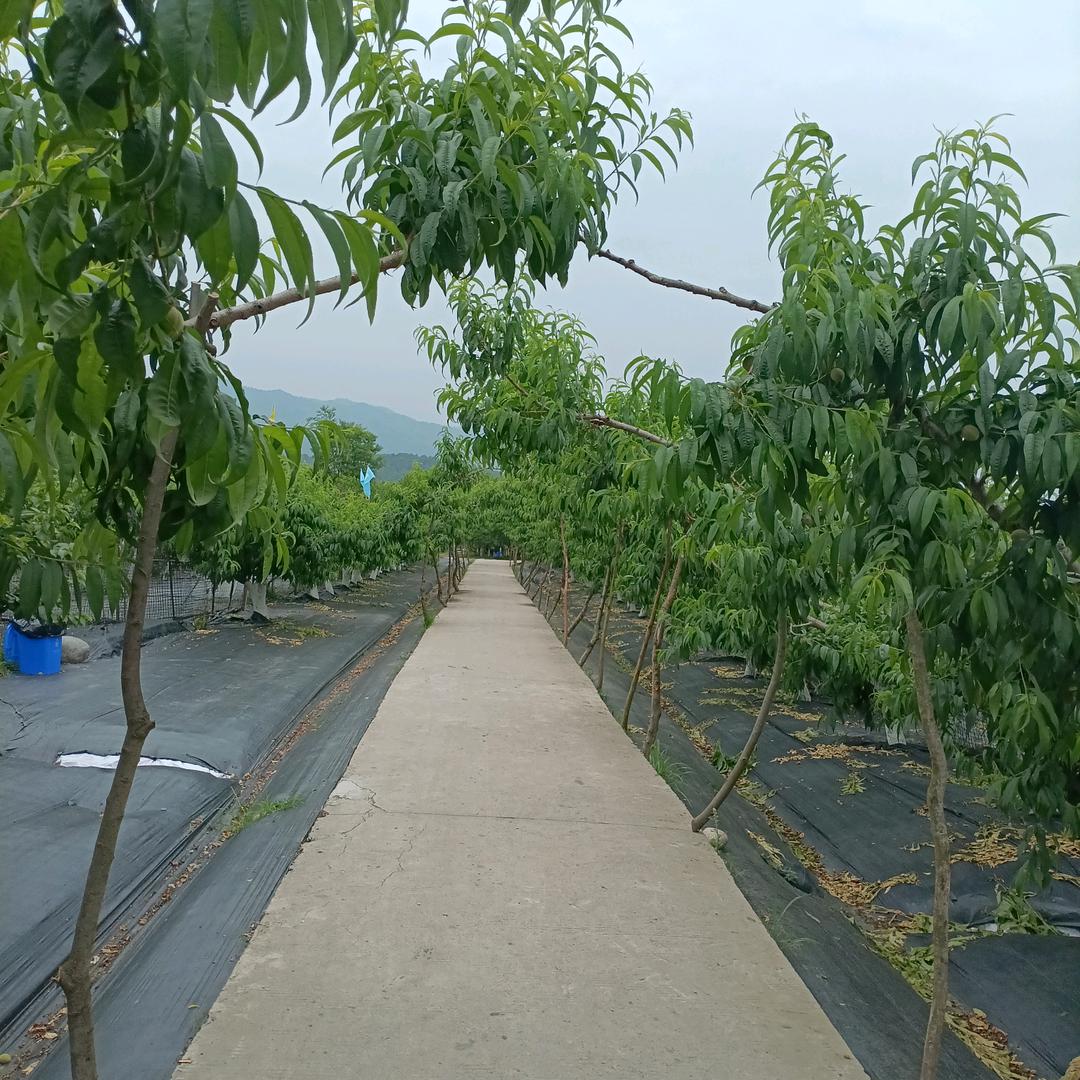 顶天立地