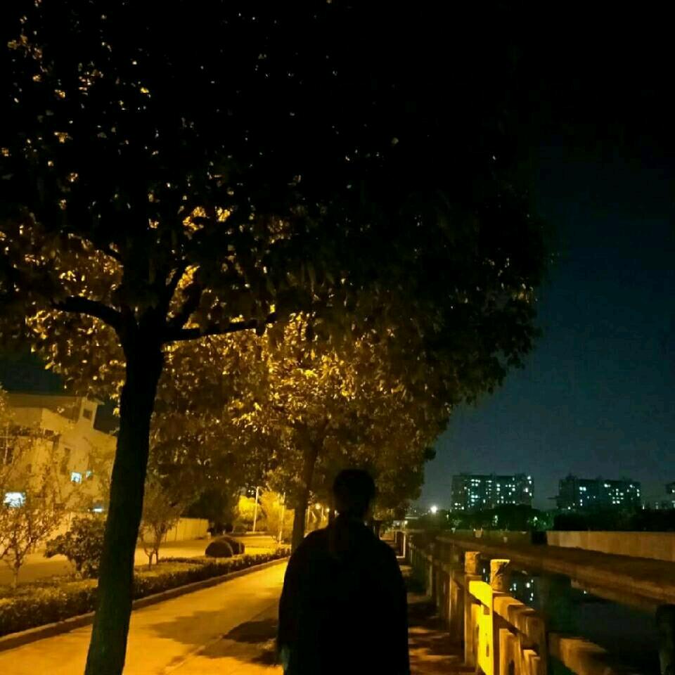 余夜猫