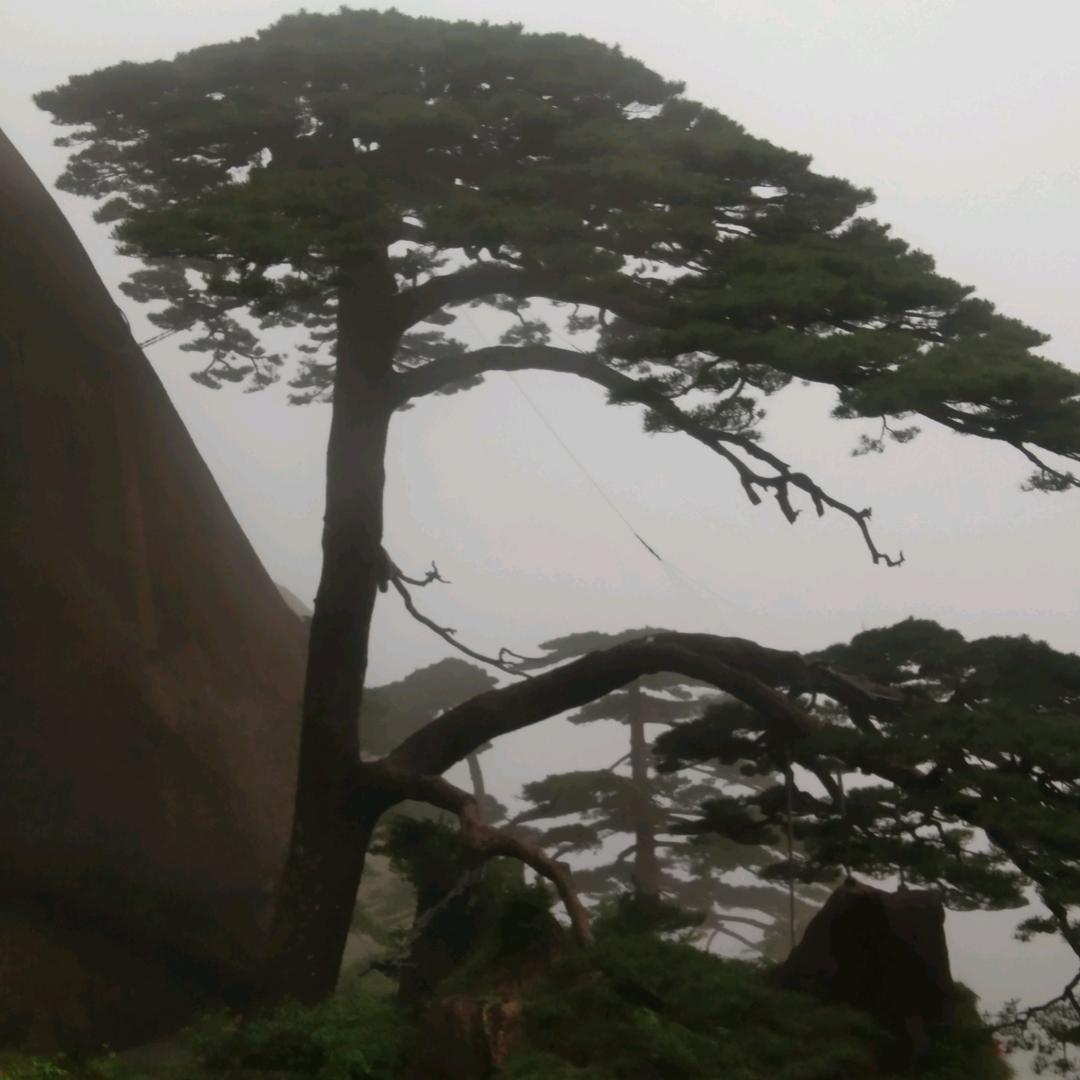 天下无敌