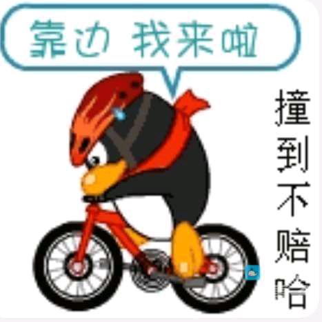 残疾的单身贵族