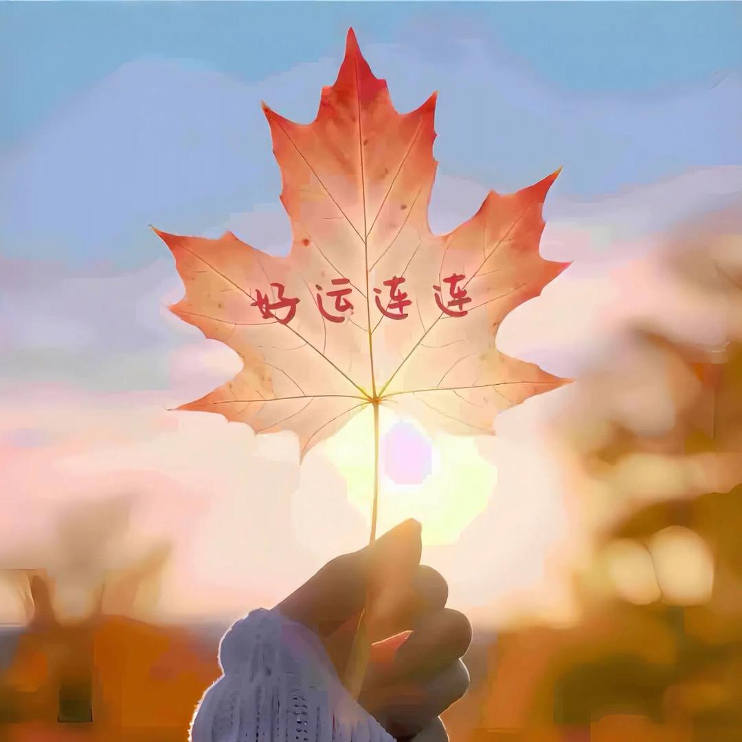 凡晨