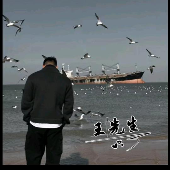 汪清喜德盛xds