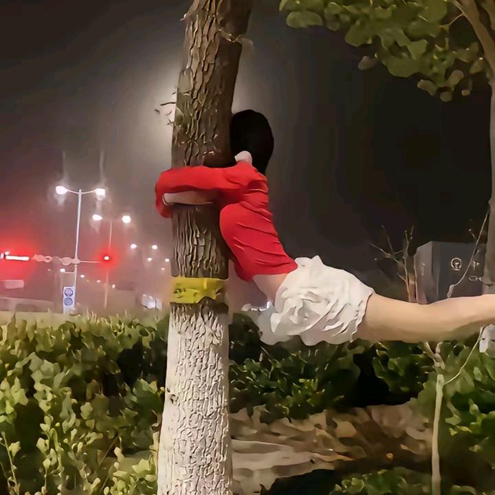 花开富贵 上善若水 上善若水