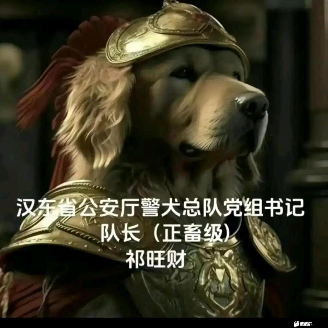 王者荣耀—张小仙