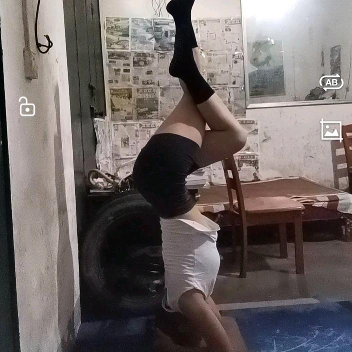 🌹家有三宝🌹