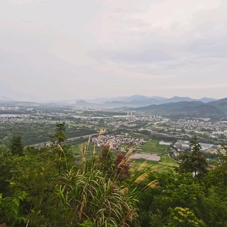 周建