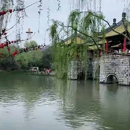 慧丰茶业