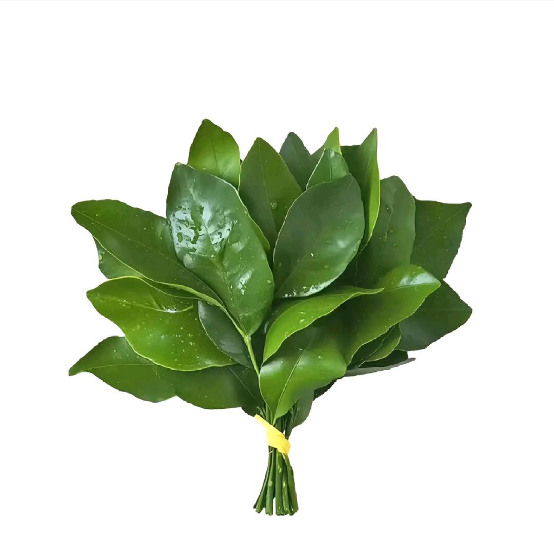 福满满