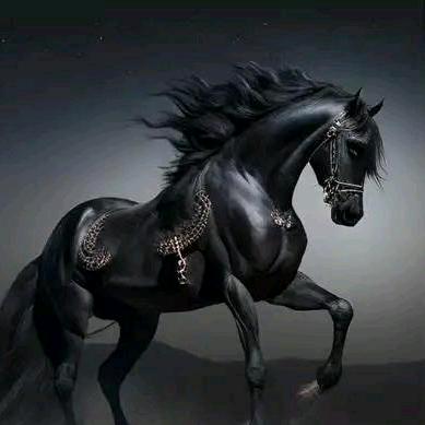 鑫宇禾科技策划青山