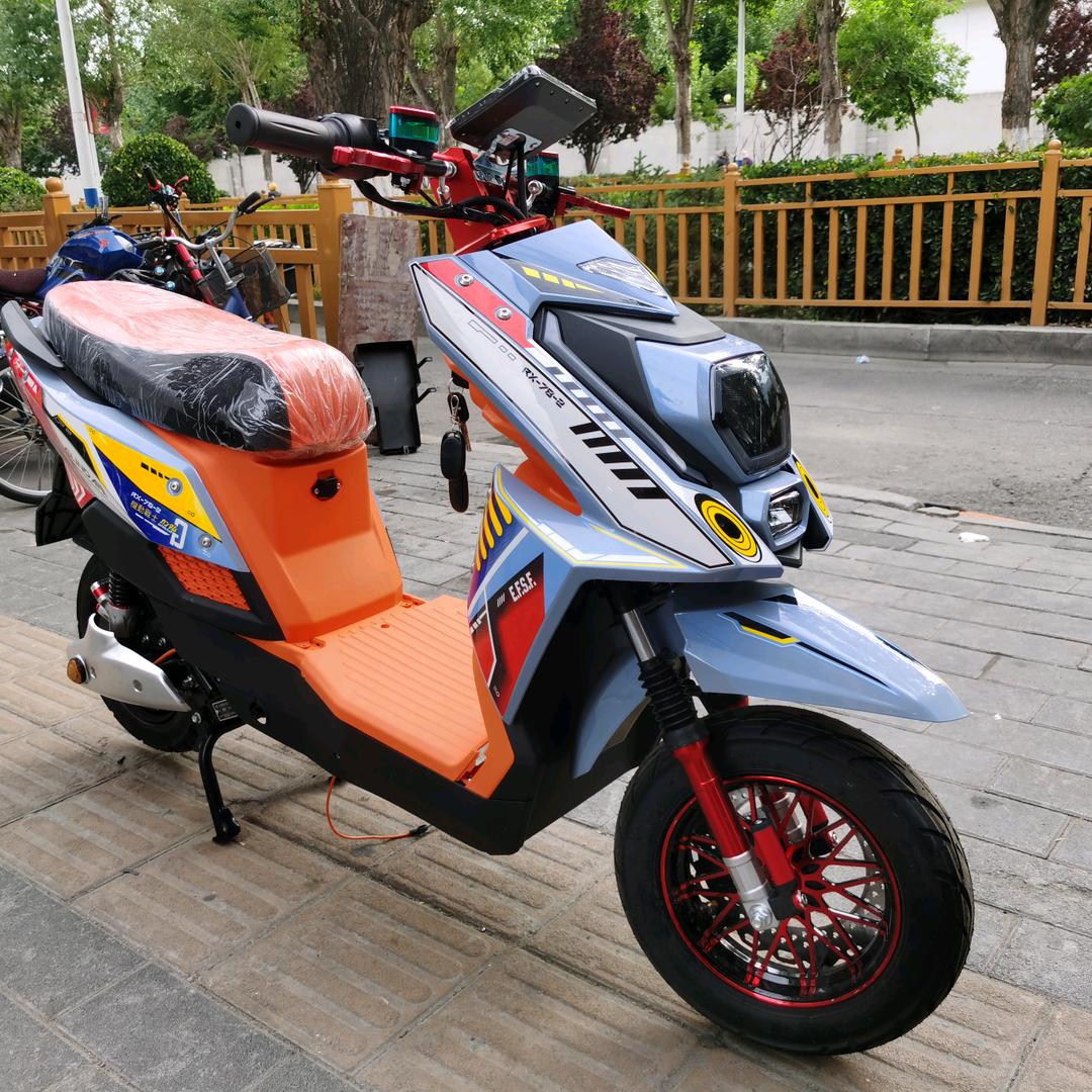 拉萨顺来电自行车